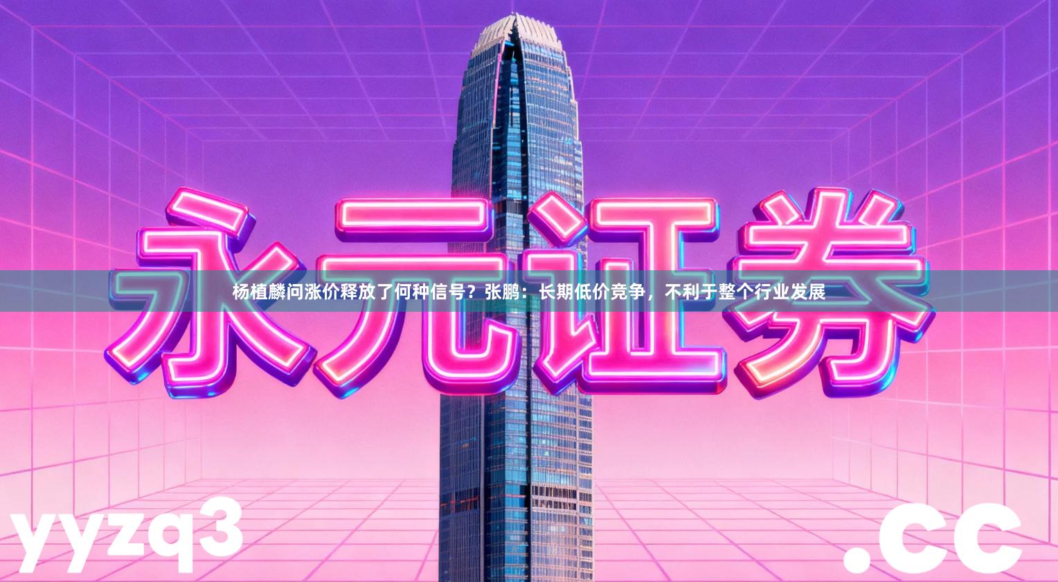 杨植麟问涨价释放了何种信号？张鹏：长期低价竞争，不利于整个行业发展